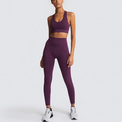 Women's Yoga Set Seamless Sportswear